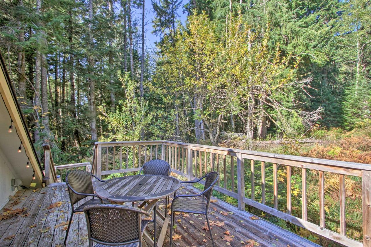 Owls Nest Studio With Hot Tub Hike Nearby! أشفورد المظهر الخارجي الصورة